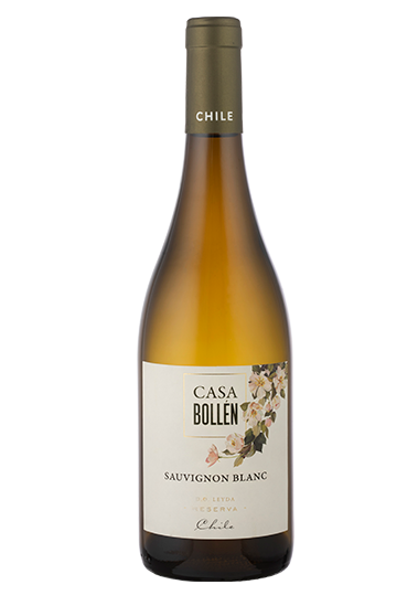 Casa Bollén Sauvignon Blanc