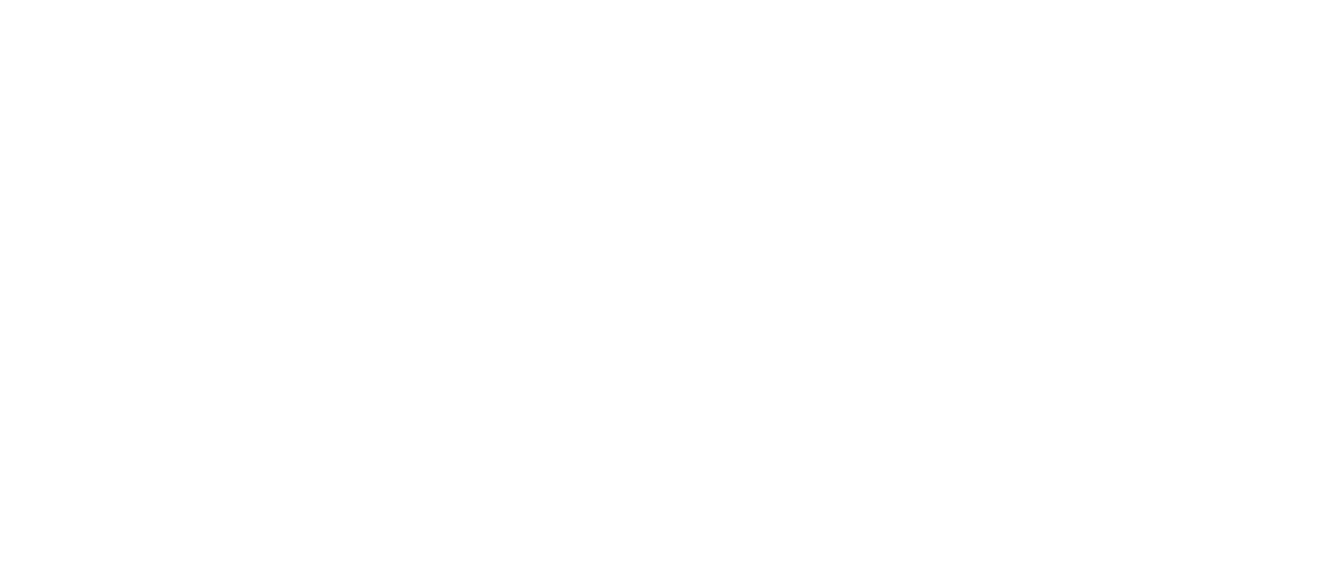 Logo VDNM
